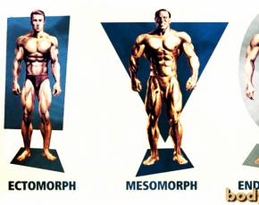 Эктоморф, эндоморф и мезоморф: как тренироваться при каждом типе телосложения
